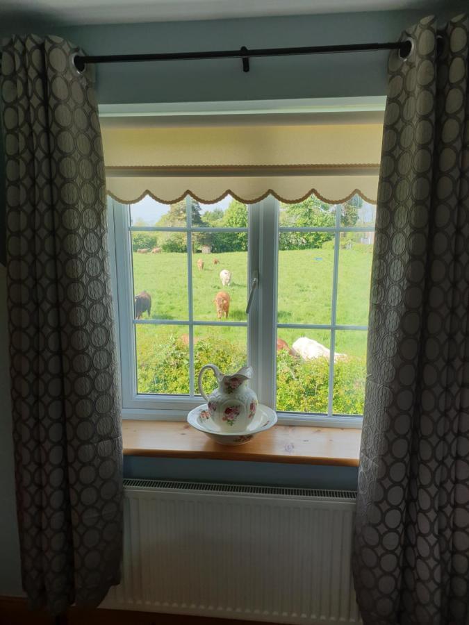 Nellies Cottage B&B Kilcogy エクステリア 写真